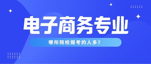 河北电子商务考什么专业